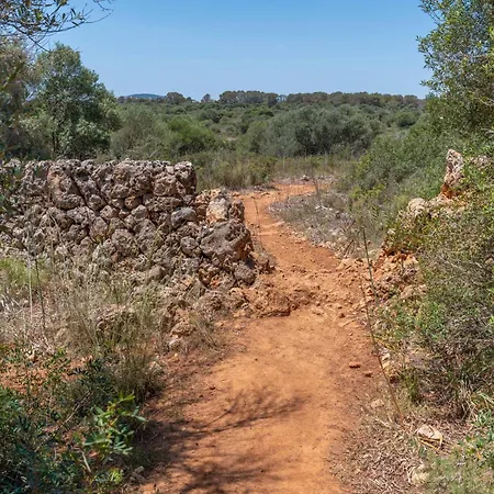 Guillem Boquet * Porto Cristo